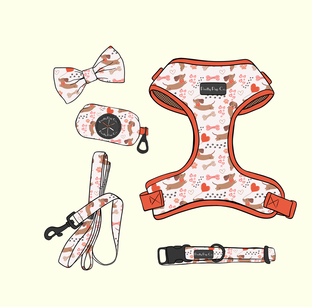 Dachshund Love Harness & Accessories Set