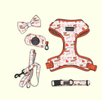 Dachshund Love Harness & Accessories Set