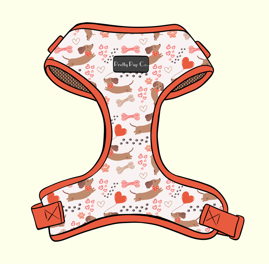 Dachshund Love Harness & Accessories Set