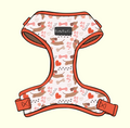 Dachshund Love Harness