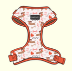Dachshund Love Harness & Accessories Set