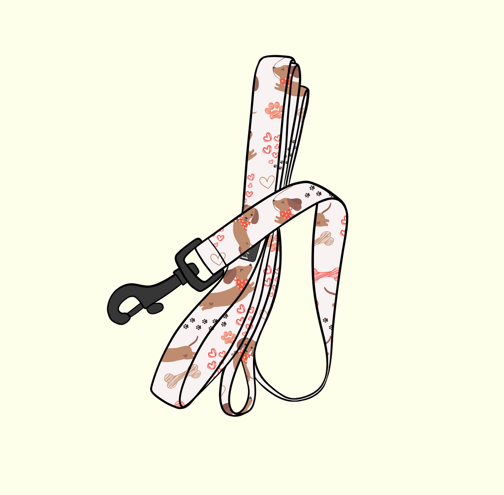 Dachshund Love Harness & Accessories Set